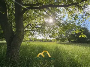 Prodej rodinného domu, Doubravička, 195 m2