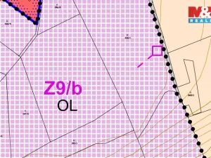 Prodej komerčního pozemku, Náchod - Běloves, 13250 m2