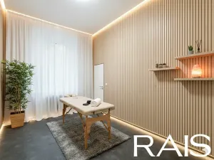 Prodej obchodního prostoru, Brno, Bašty, 42 m2