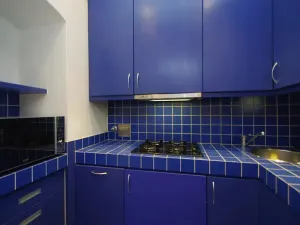 Pronájem bytu 2+1, Praha - Vinohrady, Anny Letenské, 54 m2