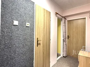 Pronájem bytu 1+1, Písek, Dr. M. Horákové, 35 m2