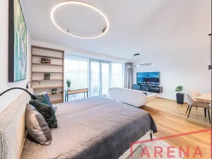 Pronájem bytu 1+kk, Brno, Nové sady, 54 m2