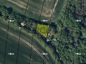 Prodej louky, Březolupy, 1729 m2