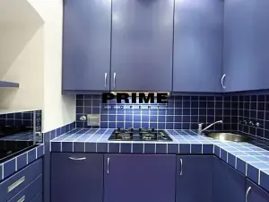 Pronájem bytu 2+1, Praha - Vinohrady, Anny Letenské, 54 m2