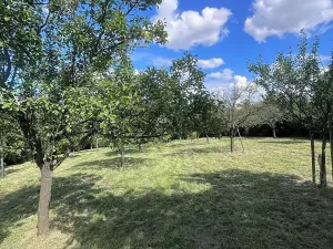 Prodej rodinného domu, Kožušice, 230 m2