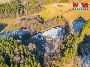 Prodej rybníku, Horní Ves, 21990 m2