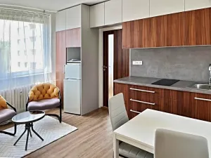 Pronájem bytu 2+kk, Brno, Herčíkova, 34 m2