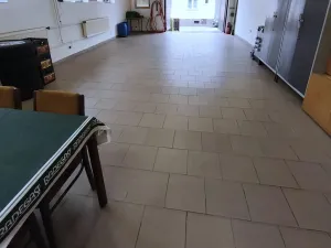 Prodej rodinného domu, Ostrava, Lipka, 520 m2