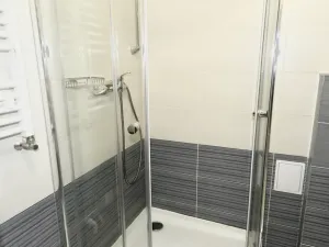 Pronájem bytu 2+kk, Praha - Žižkov, Fibichova, 60 m2