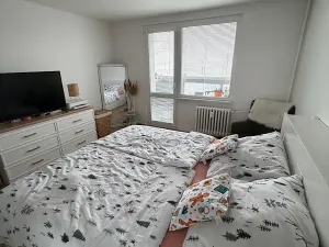 Pronájem bytu 3+1, Svitavy, Felberova, 86 m2