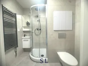 Pronájem bytu 1+1, Liberec, Česká, 38 m2