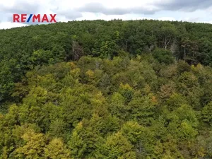 Prodej lesa, Lelekovice, 22668 m2