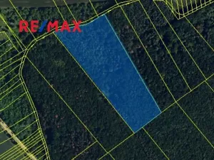 Prodej lesa, Lelekovice, 22668 m2