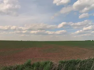 Prodej podílu pole, Vyšehořovice, 1785 m2