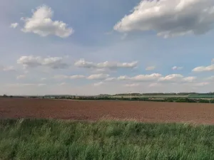 Prodej podílu pole, Vykáň, 38867 m2