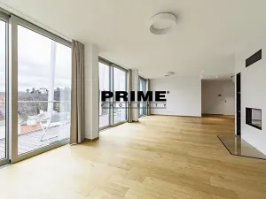 Pronájem bytu 4+kk, Praha - Smíchov, Holečkova, 212 m2