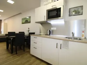 Pronájem bytu 1+kk, Praha - Nové Město, Opletalova, 35 m2