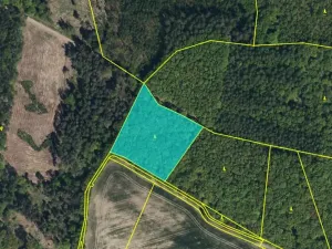 Dražba lesa, Kasalice, 7304 m2