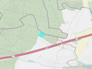 Dražba lesa, Kasalice, 7304 m2