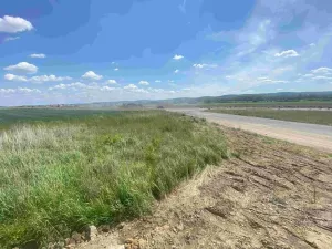 Dražba louky, Kravaře, 2873 m2