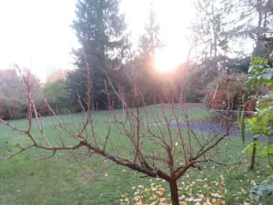 Dražba pozemku, Praha, 877 m2