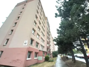 Pronájem bytu 1+kk, Most, Lipová, 33 m2