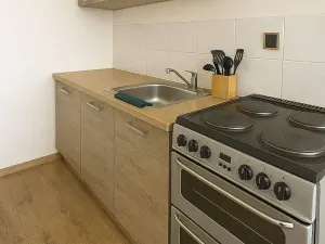 Pronájem bytu 1+kk, Žatec, Dr. Václava Kůrky, 30 m2