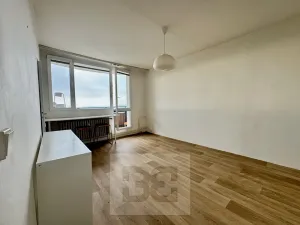 Pronájem bytu 1+1, Brno, Haškova, 30 m2