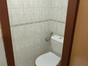Pronájem bytu 1+kk, Slaný, Palackého, 25 m2