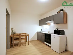 Pronájem bytu 1+kk, Brno, Francouzská, 31 m2