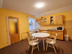 Pronájem bytu 1+1, Kostelec nad Labem, 49 m2