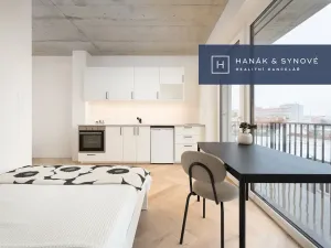 Pronájem bytu 1+kk, Brno, Koliště, 22 m2