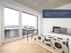 Pronájem bytu 1+kk, Brno, Koliště, 22 m2