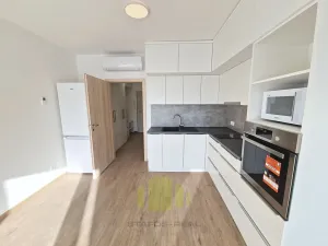 Pronájem bytu 1+kk, Olomouc, Wittgensteinova, 33 m2