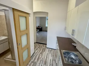 Pronájem bytu 1+kk, Brno, Dukelská třída, 28 m2