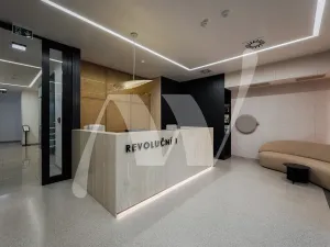 Pronájem kanceláře, Praha - Staré Město, Revoluční, 778 m2