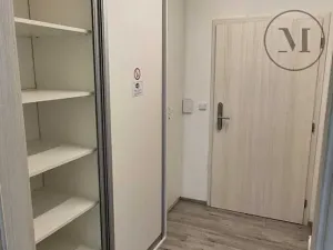 Pronájem bytu 1+kk, České Budějovice, Skuherského, 45 m2