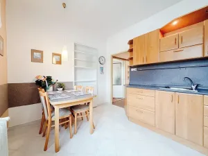 Pronájem bytu 4+1, Vysoké Mýto, 100 m2