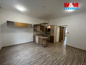 Pronájem bytu 1+1, Český Těšín, Smetanova, 47 m2