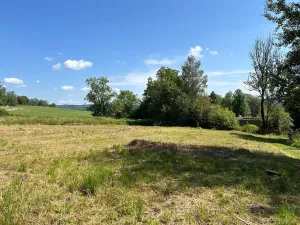 Prodej pozemku pro bydlení, Horní Planá, 4593 m2