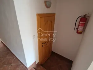 Pronájem bytu 4+kk, Pardubice, V Ráji, 350 m2