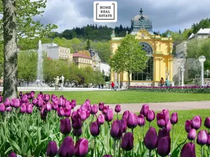 Prodej rodinného domu, Mariánské Lázně, Křižíkova, 700 m2