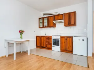 Pronájem bytu 1+kk, Praha - Libeň, Nad Okrouhlíkem, 42 m2