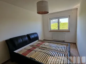 Pronájem rodinného domu, Plzeň, Valtická, 135 m2