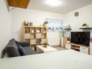 Prodej bytu 2+kk, Plzeň, U Velkého rybníka, 58 m2