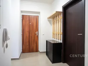 Prodej bytu 2+kk, Plzeň, U Velkého rybníka, 58 m2