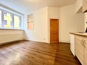 Pronájem bytu 2+kk, Praha - Podolí, Výchozí, 60 m2