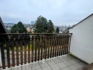 Pronájem rodinného domu, Praha - Braník, U háje, 380 m2