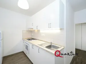 Pronájem bytu 2+1, Praha - Břevnov, Nad alejí, 56 m2