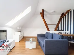 Pronájem bytu 1+kk, Ostrava, Cihelní, 43 m2